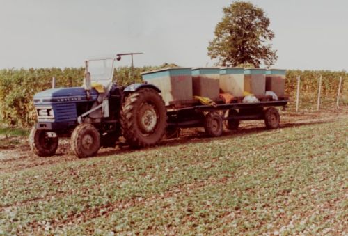 1980_Agriculture_(Alfred_Barthassat) (2)