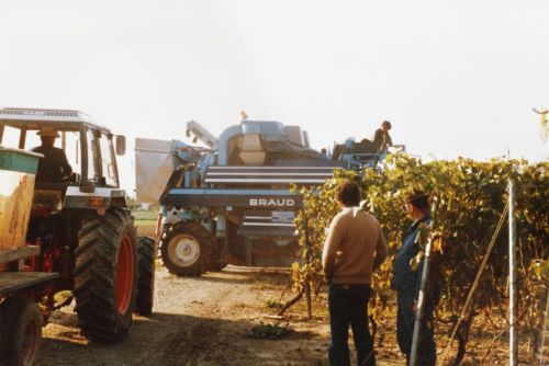 1984_Agriculture_(Alfred_Barthassat) (10)