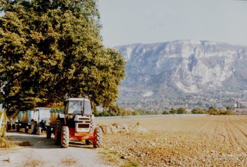 1984_Agriculture_(Alfred_Barthassat) (8)