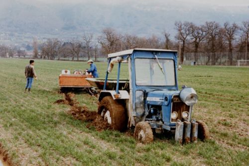 1984_Agriculture_(Alfred_Barthassat) (9)