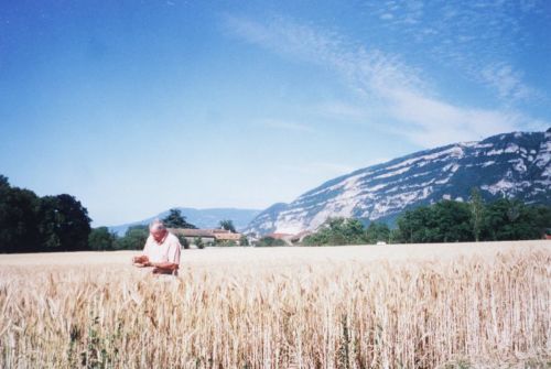 2004_Agriculture_(Alfred_Barthassat) (23)