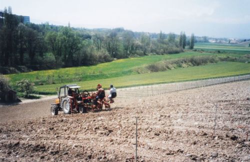 2004_Agriculture_(Alfred_Barthassat) (29)