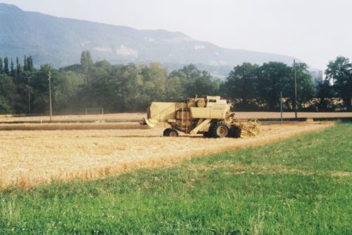 2005_Agriculture_(Alfred_Barthassat) (22)